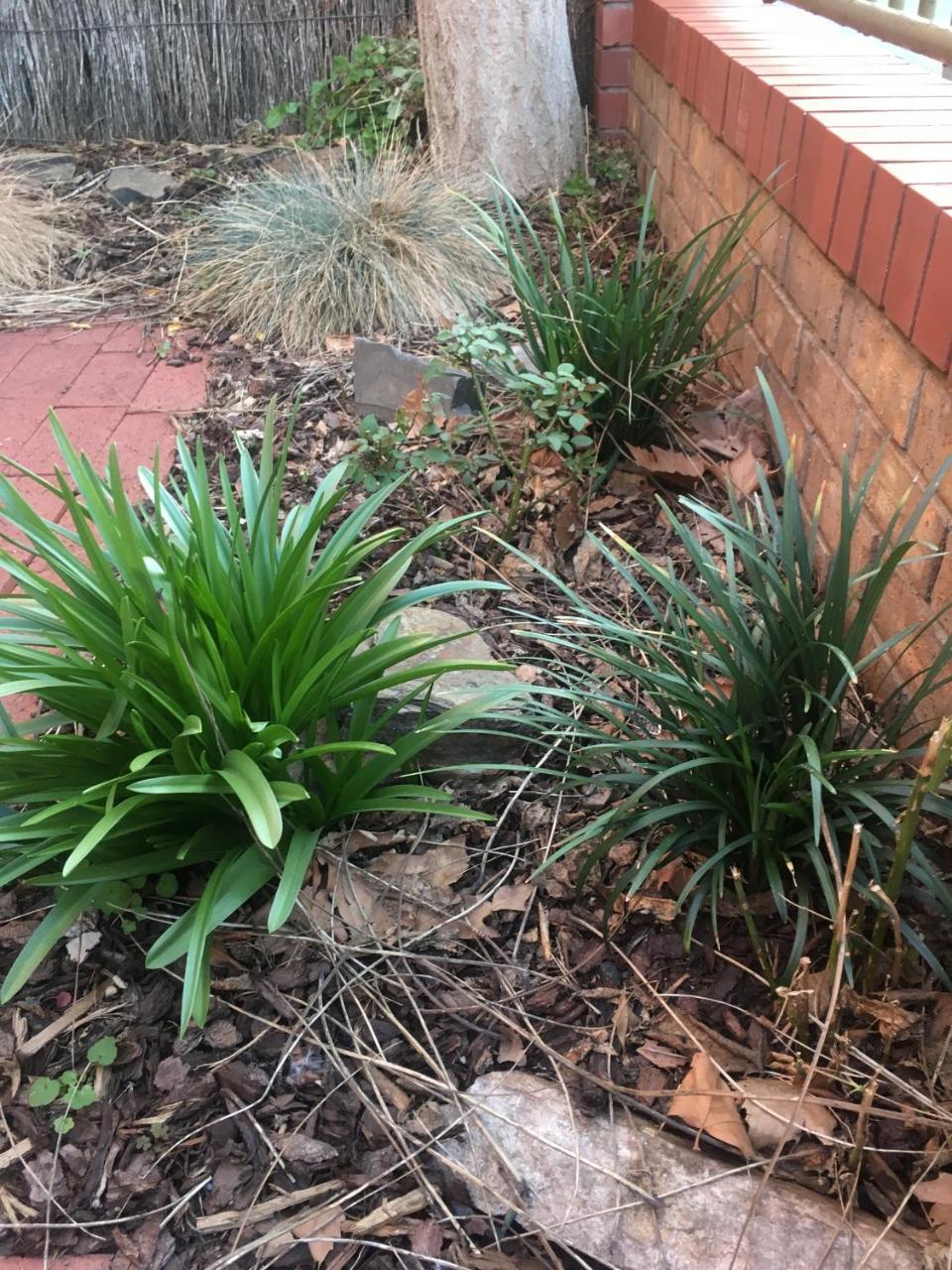 Adelaide Style Accommodation-Getaway In North Adelaide- Close To City מראה חיצוני תמונה