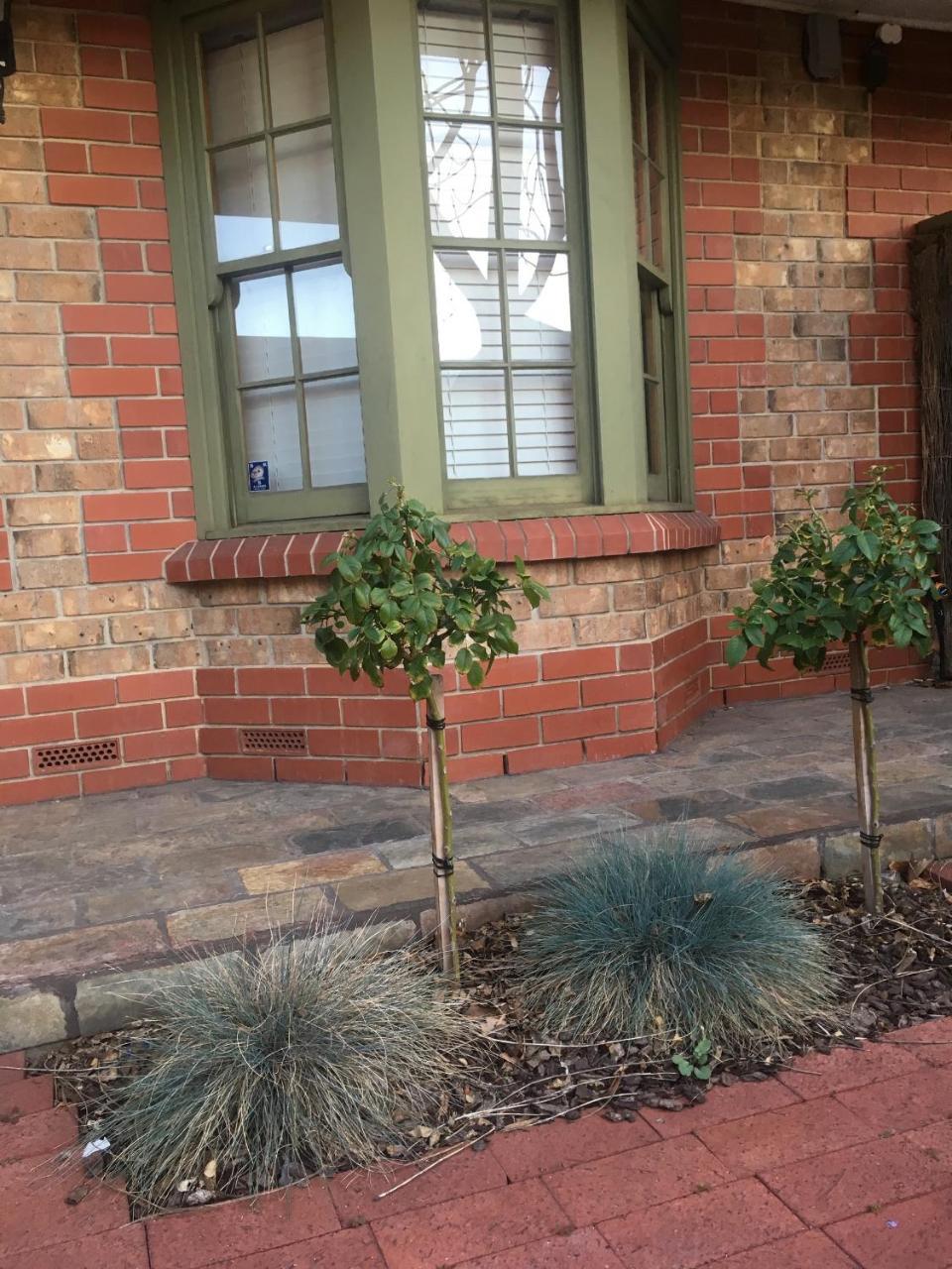 Adelaide Style Accommodation-Getaway In North Adelaide- Close To City מראה חיצוני תמונה