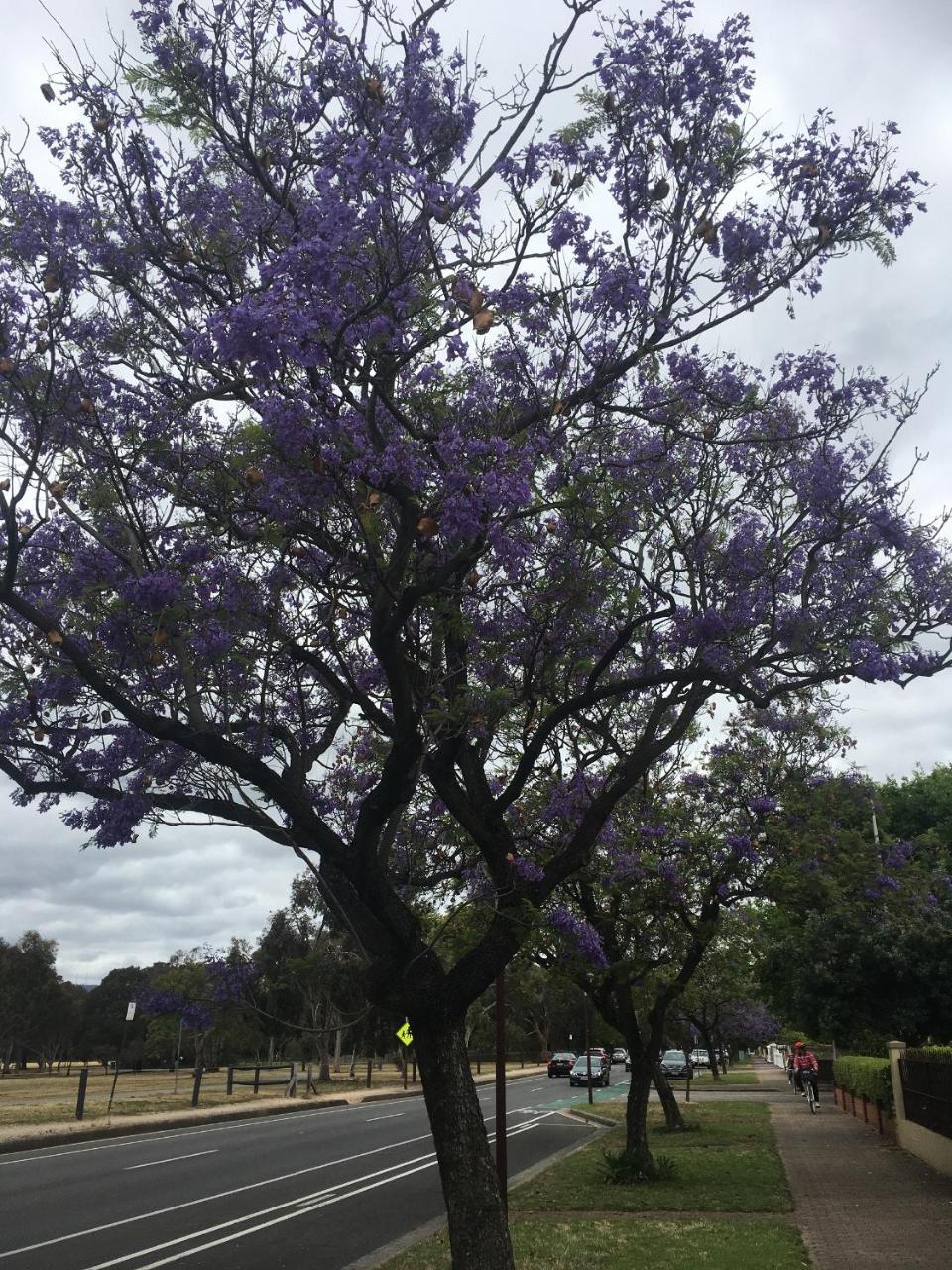 Adelaide Style Accommodation-Getaway In North Adelaide- Close To City מראה חיצוני תמונה